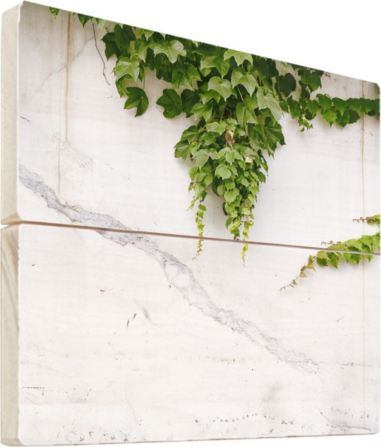 Onderscheppen St slachtoffers Wanddecoratie hout - Klimplant op een witte muur - 50x50 cm - Houten  Wandpaneel -... | bol.com
