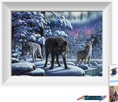 Artstudioclub®  Diamond painting volwassenen 30x25 CM Wolf