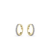 vDam Vergulde Oorsieraden KC1003Y