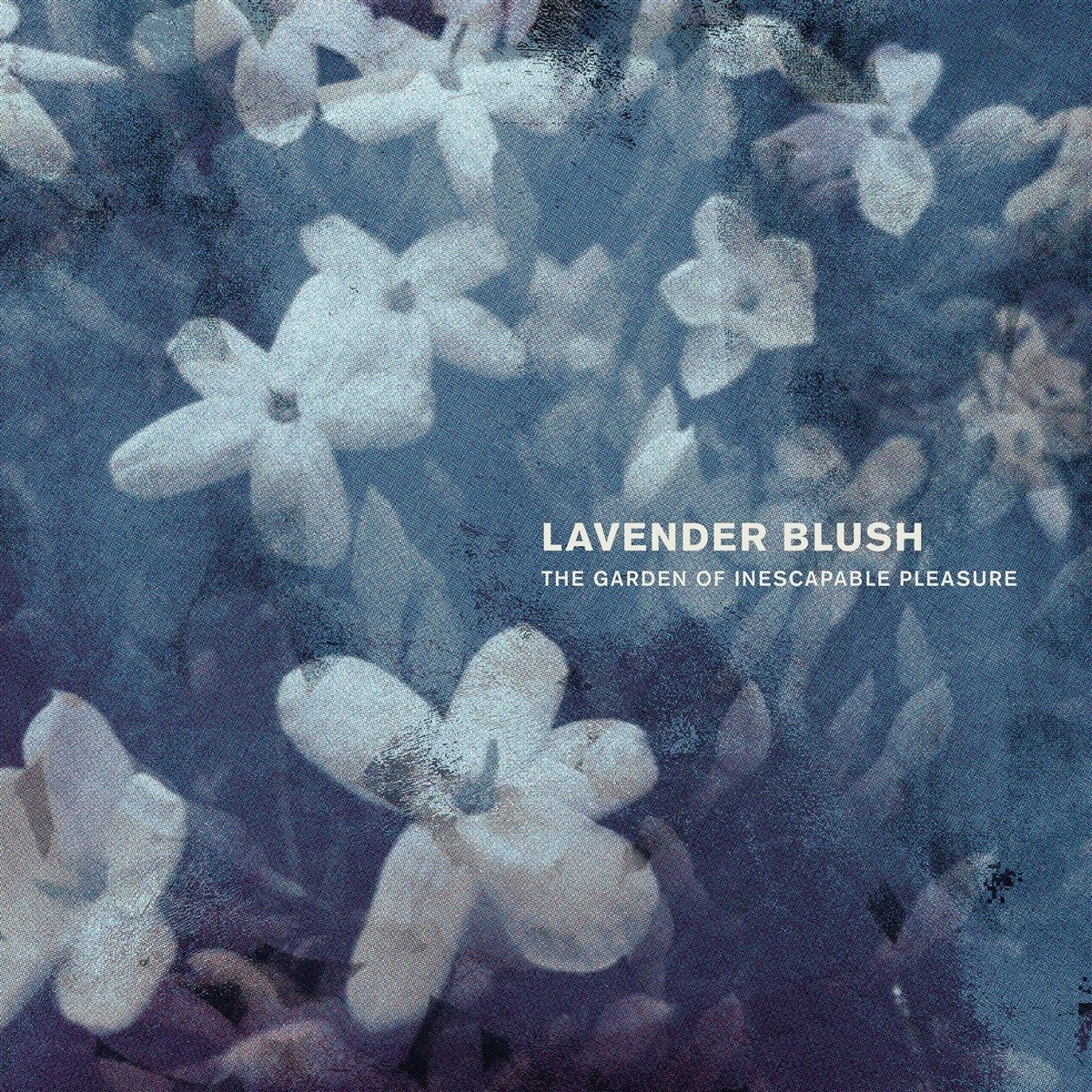 Lavender Blush - The Garden Of Inescapable Pleasure (LP)