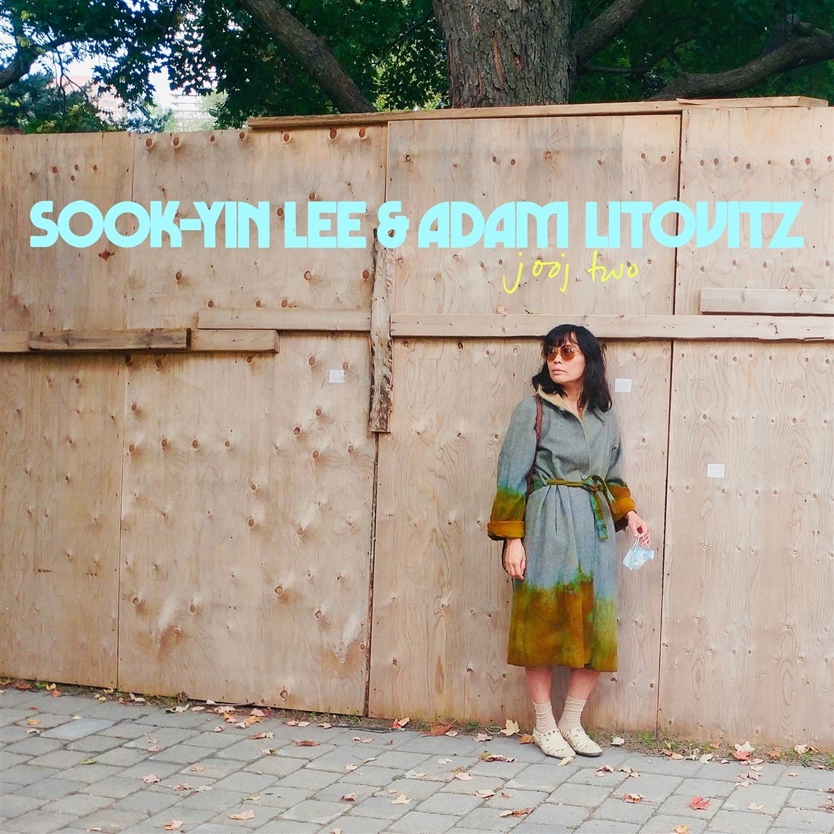Sook-Yin Lee & Adam Litovitz - jooj two (LP) (Limited Edition)