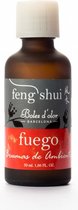 Boles 'd Olor -  Feng Shui - geurolie 50 ml - Fuego - Vuur