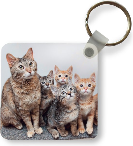 Porte-clés - Chat - Chatons - Fourrure - Plastique