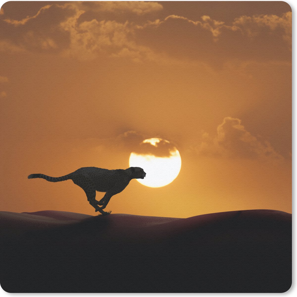 Muismat 30x30 cm - Mousepad Silhouet van een cheeta in de woestijn - Muismatten