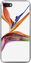 Geschikt voor iPhone SE 2020 hoesje - Strelitzia - Aquarel - Bloemen - Siliconen Telefoonhoesje