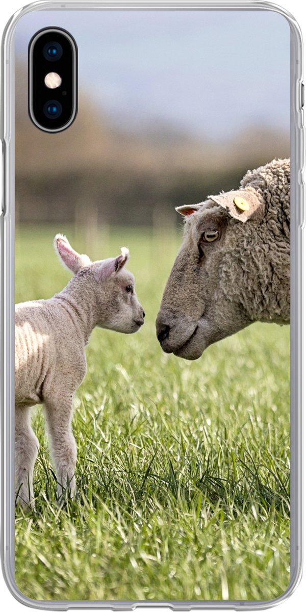 Telefoonhoesje Geschikt voor iPhone Xs hoesje - Schaap - Gras - Lam - Siliconen Telefoonhoesje Telefoonhoesje