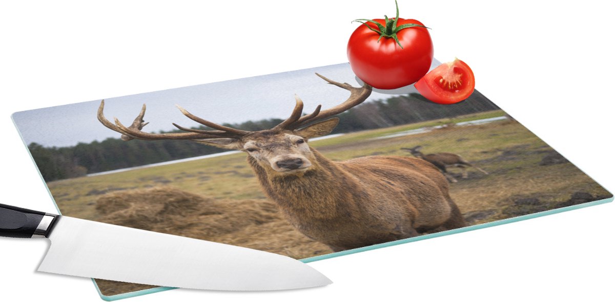 Glazen Snijplank - 39x28 - Hert - Gewei - Natuur - Snijplanken Glas