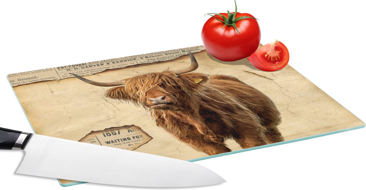 Glazen Snijplank - 28x20 - Hooglander - Vintage - Krant - Snijplanken Glas