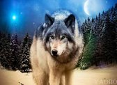 Diamond painting  50x40 cm wolf