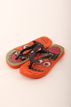 Havaianas slippers