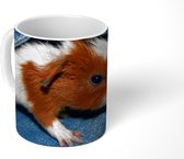 Mok - Baby cavia in een spijkerbroek zak - 350 ML - Beker