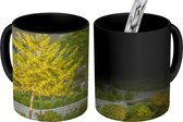 Magische Mok - Foto op Warmte Mok - Natuur in de stad - 350 ML
