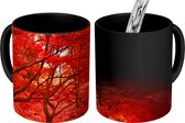 Magische Mok - Foto op Warmte Mok - Herfst - Bos - Rood - 350 ML