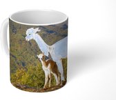 Mok - Koffiemok - Alpaca's - Berg - Natuur - Mokken - 350 ML - Beker - Koffiemokken - Theemok