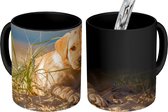 Magische Mok - Foto op Warmte Mokken - Koffiemok - Labrador Retriever puppy ligt op de zandduinen - Magic Mok - Beker - 350 ML - Theemok