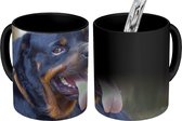 Magische Mok - Foto op Warmte Mokken - Koffiemok - Een Rottweiler ligt uitgeput bij een hek - Magic Mok - Beker - 350 ML - Theemok