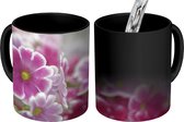Magische Mok - Foto op Warmte Mok - Close-up van roze primula's - 350 ML