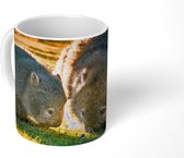 Mok - Twee wombats bij zonsondergang in een grasveld - 350 ML - Beker