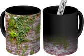 Magische Mok - Foto op Warmte Mok - Klimplanten op een oude muur met bakstenen - 350 ML