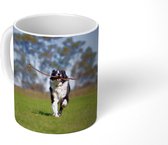 Mok - Een border collie met een stok in de mond - 350 ML - Beker