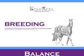 Equi-Xcel - Balancer - Breeding