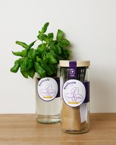 Basilicum kweekset- zelfwaterende kruidenpot - duurzaam cadeau- makkelijke moestuin in huis