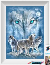 Artstudioclub™  Diamond painting volwassenen 25*30cm  wolf
