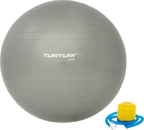 Tunturi Fitnessbal - Gymball - Swiss ball - 65 cm - Incl. pomp - Zilver - Incl. gratis fitness app