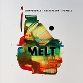 Mats Gustafsson, Brian Chippendale, Massimo Pupillo - Melt (LP)
