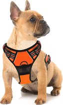 Hondentuig Middelgrote Hond – Reflecterend Canicross Hondenharnas – Anti trek tuig - Dog Harness - Gewatteerd – Maat M – Oranje - Quzi