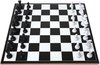Afbeelding van het spelletje Reisspellen/bordspellen 2-in-1 set van schaken en erger je niet 35 x 30 cm