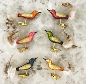 Gekleurde Mini Decoratie Vogeltjes voor de Kerstboom - doosje met 6 vogeltjes op clip