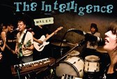 Intelligence - Males (CD)