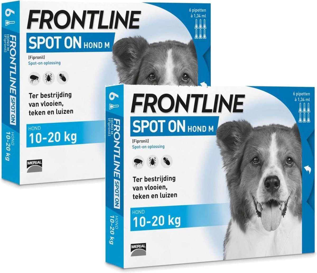 Groenteboer Torrent vloeistof Frontline Spot On 2 Medium Hond Medium - Anti vlooien en tekenmiddel - 2 x  4 pip | bol.com