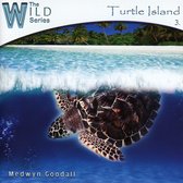 Medwyn Goodall - Turtle Island (CD)