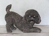 asbeeld - urn - hond - Labradoodle - hondenurn - 32 cm