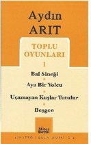 Toplu Oyunları 1   Bal Sineği Aya Bir Yolcu Uçamayan Kuşlar