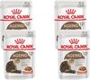 Royal Canin Fhn Senior Aging 12plus Mp Pouch - Nourriture pour chats - 4 x 12x85 g