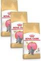 Royal Canin British Shorthair Kitten - Kattenvoer - 3 x 2 kg