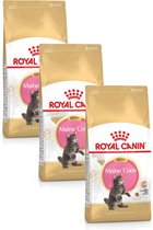 Royal Canin Maine Coon Kitten - Kattenvoer - 3 x 2 kg