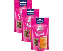 Vitakraft Cat Yums Kip & Kattengras - Kat - Snack - 3 x 40 g