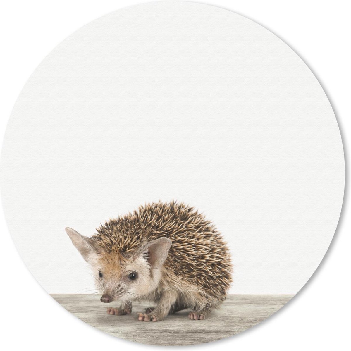 Muismat rond 50x50 cm - Mousepad Dieren - Egel - Baby - Ronde muismatten