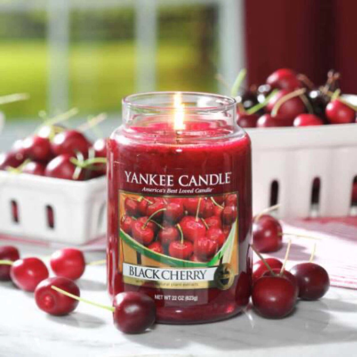 Yankee Candle Black Cherry Scented Classic 22oz Large Jar Single Wick Candle Over 110 Hours of Burn Time Ideal for Home Décor and Gifting Yankee Candle Black Cherry Scented Classic 22oz Large Jar Single Wick Candle Over 110 Hours of Burn Time Ideal for Home Décor and Gifting