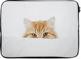 Housse ordinateur 13 pouces 34x24 cm - Chats - Housse Macbook & Laptop Portrait of red cat - Housse ordinateur portable avec photo