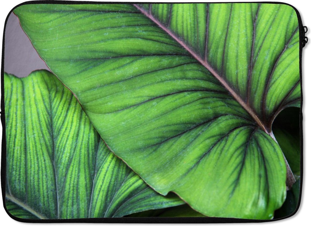 Laptophoes 13 inch - Foto van grote tropische botanische bladeren - Laptop sleeve - Binnenmaat 32x22,5 cm - Zwarte achterkant