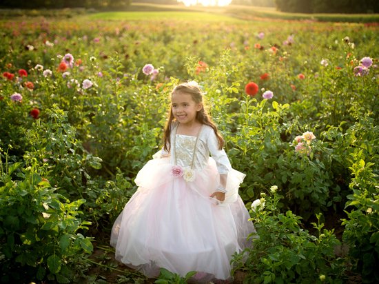 Prinsessenjurk meisje 5-6 jaar - Prinsessenjurk verkleedkleding - prinsessenjurk - Golden Rose - Prinses - Verkleden