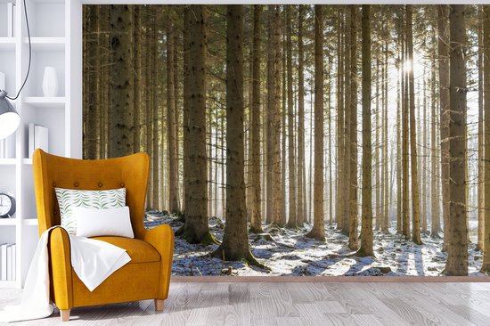 Papier fotobehang Une forêt avec des troncs d'arbres dans un paysage d'hiver