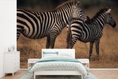 Behang - Fotobehang Zebra's op de savanne - Breedte 600 cm x hoogte 400 cm