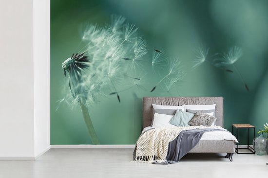 Graines de fotobehang de pissenlit