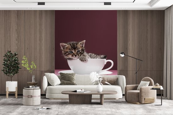 Papier peint photo vinyle - Un chaton dans une tasse avec une soucoupe largeur 190 cm x hauteur 260 cm - Tirage photo sur papier peint (disponible en 7 tailles)